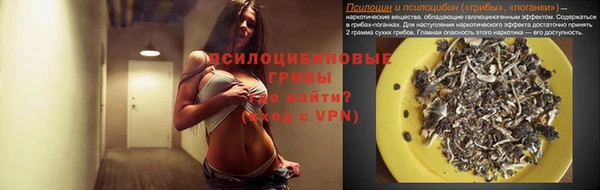 герыч Майский